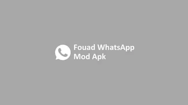 Fouad-Whatsapp-2